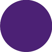 C-STYLE PURPLE _.png